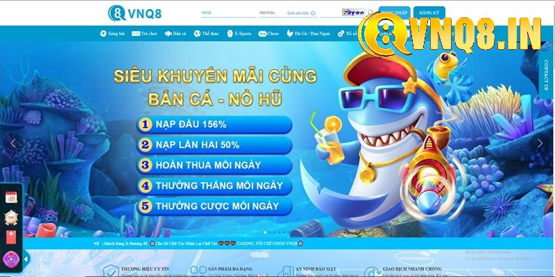 Hướng dẫn quy trình truy cập vào Link VNQ8 cập nhật