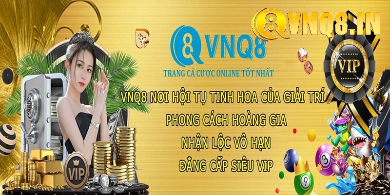 Thành viên cần lưu ý gì khi truy cập vào Link VNQ8 cập nhật