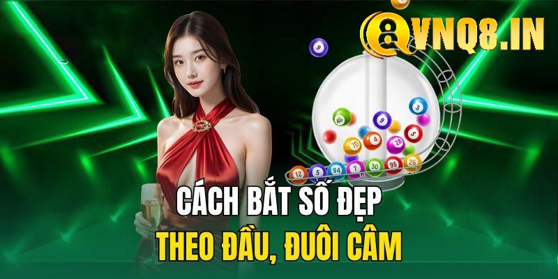Những cách bắt lô câm hiệu quả tại VNQ8