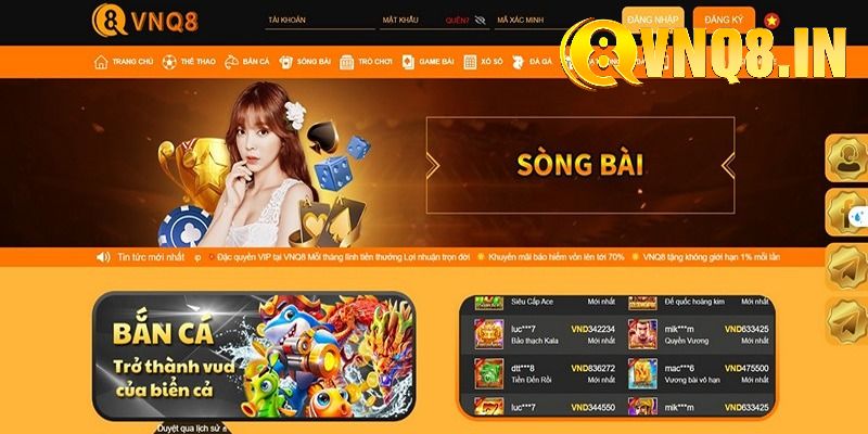 Điểm thu hút của VNQ8