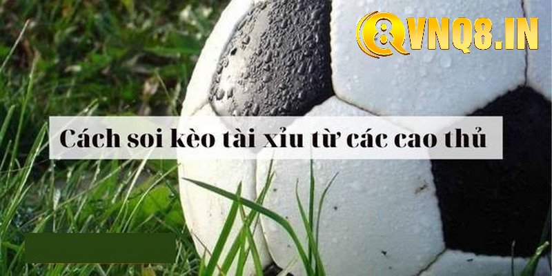 Tham gia cược kèo tài xỉu tại VNQ8