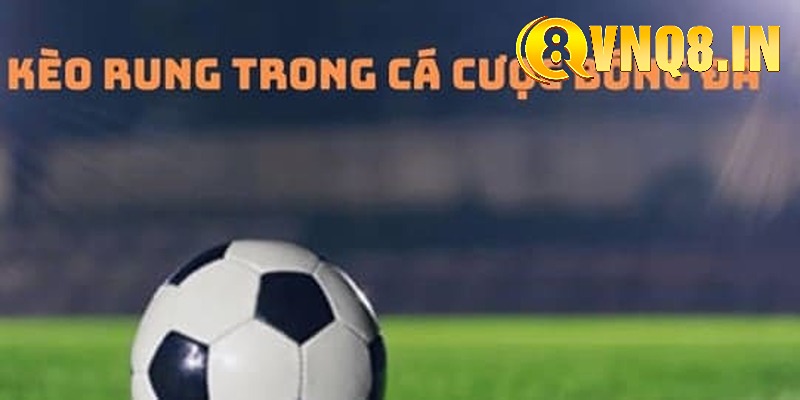 Những lợi ích của việc cá cược kèo rung tại nhà cái VNQ8